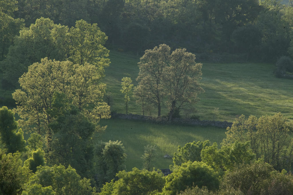 La Casa De Los Arribes Fornillos de Fermoselle Kültér fotó